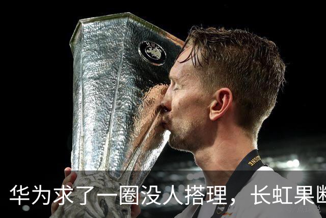 华为求了一圈没人搭理，长虹果断接盘