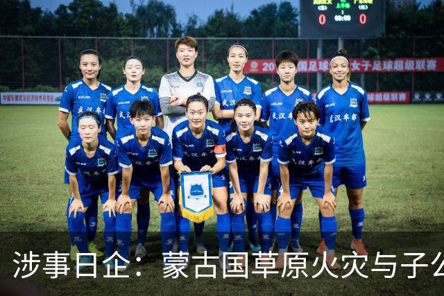 涉事日企：蒙古国草原火灾与子公司高管活动有关
